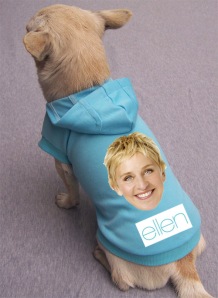 Ellen dog hoodie